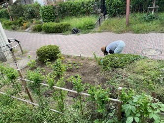 thumbnail_IMG_8911