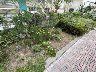 thumbnail_IMG_8999
